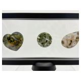 Ocean Jasper Lot of 3 Polished Palmstones in 3D Floating Frame