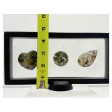 Ocean Jasper Lot of 3 Polished Palmstones in 3D Floating Frame