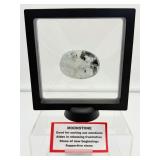 Rainbow Moonstone Palmstone in 3D Floating Frame 178 gm./6.3 oz.