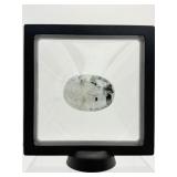 Rainbow Moonstone Palmstone in 3D Floating Frame 178 gm./6.3 oz.