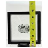 Rainbow Moonstone Palmstone in 3D Floating Frame 178 gm./6.3 oz.