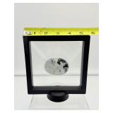 Rainbow Moonstone Palmstone in 3D Floating Frame 178 gm./6.3 oz.