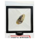 Orca Agate palmstone in 3D Floating Frame: 219 gm./7.7 oz.