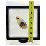 Orca Agate palmstone in 3D Floating Frame: 219 gm./7.7 oz.