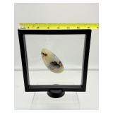 Orca Agate palmstone in 3D Floating Frame: 219 gm./7.7 oz.
