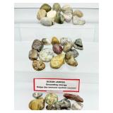 Ocean Jasper Polished Tumbles Lot: 363gm/12.8oz