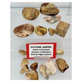Picture Jasper Polished Tumbles Lot:  172 gm./6.1 oz.