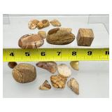 Picture Jasper Polished Tumbles Lot:  172 gm./6.1 oz.