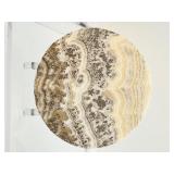 Dendritic Calcite Plates (Lot of 2) 499gm/ 1 lb.1 oz.