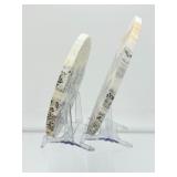 Dendritic Calcite Plates (Lot of 2) 499gm/ 1 lb.1 oz.