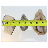 Waterline Agate Lot of 3: 363 gm./13 oz.