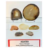 Polished Agate Slices Lot of 7: 234gm./8.3oz.
