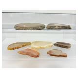 Polished Agate Slices Lot of 7: 234gm./8.3oz.