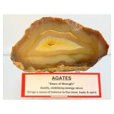 Agate Solid Geode Polished Half: 1.25 kilo/2 lb.12 oz.