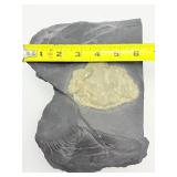 Pyrite Sun in Matrix Plate 1 kilo/2.2 lb.