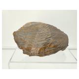 Tiger Iron Chunk .9 kilo/896 gm./2 lb.