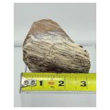 Large Palm Wood Fossil Chunk: 311gm/11oz.