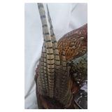 Picture w Pheasant Border(Easy to switch out to custom pic)