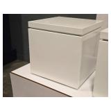 Metal Storage / Display Case 22" x 22" x 23"