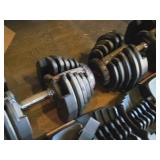 Bowflex® SelectTech® Dumbbell Set BD1090