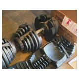Bowflex® SelectTech® Dumbbell Set BD1090