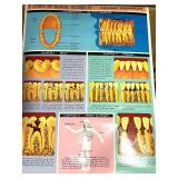 Vintage Dental and Medical Book Lot with Dental Disorders Chart