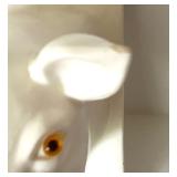 Pair of White Ceramic Pig Head Wall Mounts