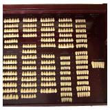 Trubyte Bioform and Trubyte New Hue Dental Tooth Mould Guides