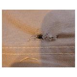 Outdoor Folding Chairs and Canopy