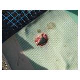 Outdoor Table and Chairs