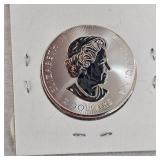 2019 1/2oz Canadian Silver Polar Bear