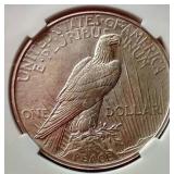 1921 Peace Dollar PGA MS63 - Key Coin!