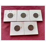 (5) Liberty "V" Nickels - 1901-1905