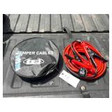 FUTURE Battery Cables (FT-DPX25)