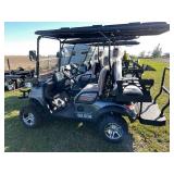 2025 SDLANCH 4-Person Golf Cart (SDLGC80)