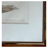 LR - Framed Charlotte Ann Meckley Botanical Print Cranesbill Geranium