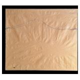 UO - Framed Watercolor Floral Artwork by Roman