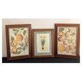 ML - Set of 3 Framed Botanical Prints with Wood Frames