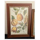 ML - Set of 3 Framed Botanical Prints with Wood Frames