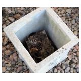 Y - Square Concrete Outdoor Planter with Lion Head Accents