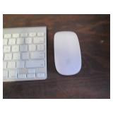 Apple brand keyboard and mouse...