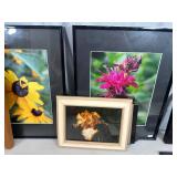 Framed Photos, Archie Boyd Slate Roofing Tile, Prints, and More