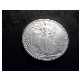 1989 Silver Eagle One Oz. Fine MS+++++++/++