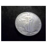 1989 Silver Eagle One Oz. Fine MS+++++++/++