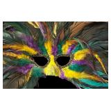 LR - Set of 2 Feather Accented Masquerade Masks with Peacock Details