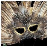 LR - Set of 2 Feather Accented Masquerade Masks with Peacock Details