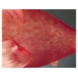 UL - Frosted Art Glass Fish Sculpture