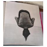 UL - Collection of 8 Photography Art Books Assorted Titles