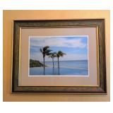ML - Framed Coastal Palm Photograph