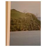 ML - Framed Coastal Palm Photograph